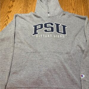 Champion Gray PSU Nittany Lions Men's Sweater